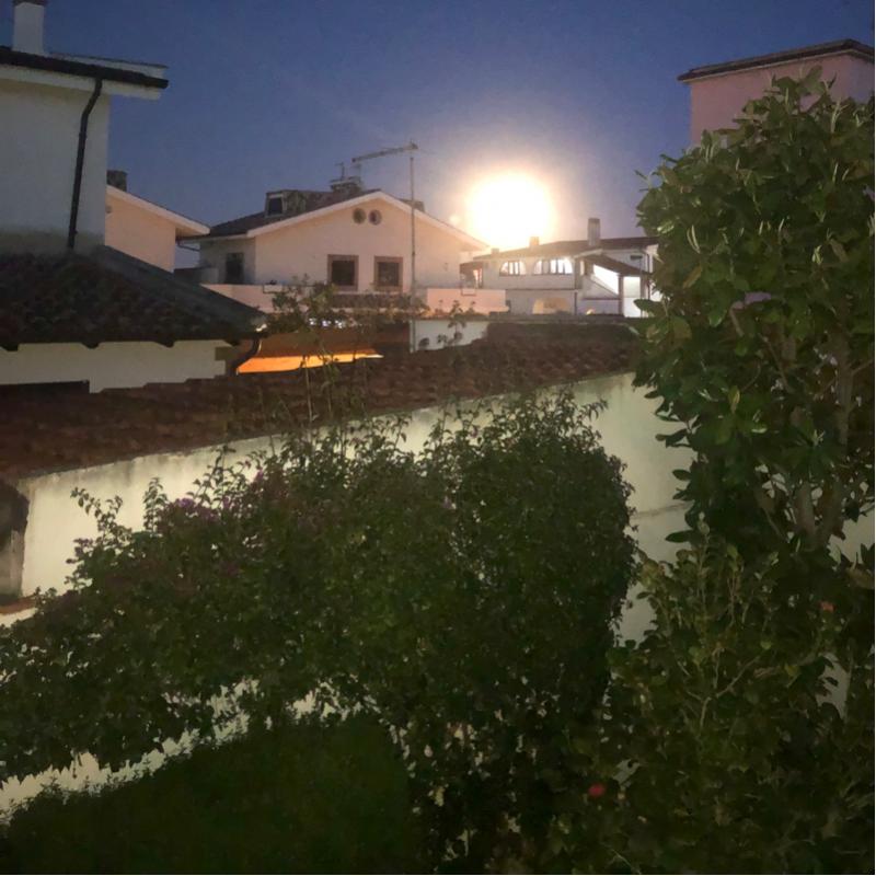 Fotosegnalazione di Fiumicino