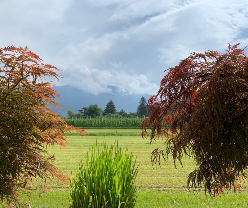 Fotosegnalazione di Naz sciaves