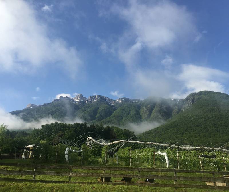 Fotosegnalazione di Altopiano della vigolana