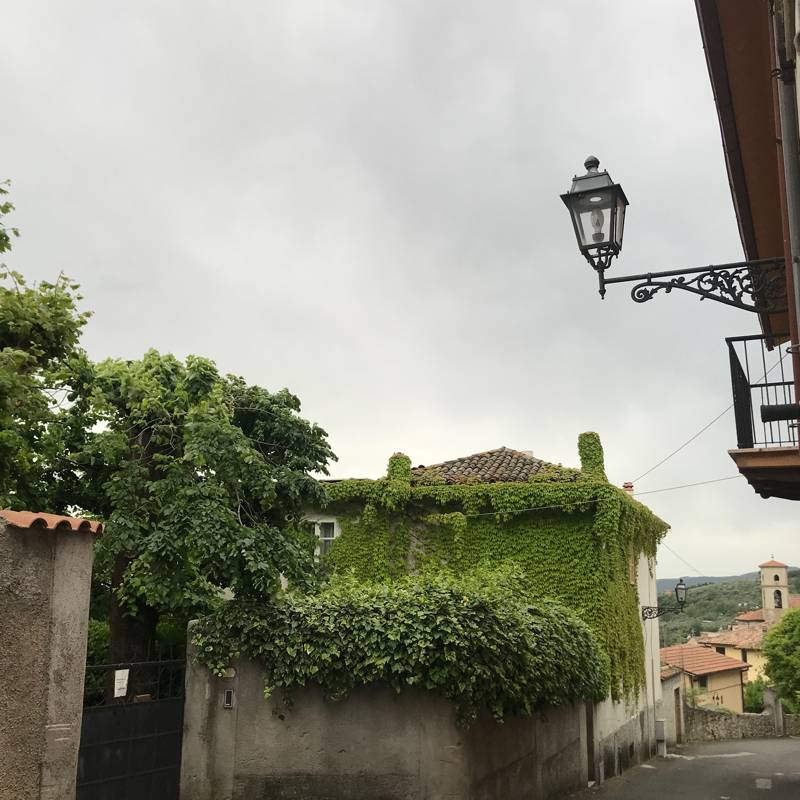 Fotosegnalazione di Poggio san lorenzo
