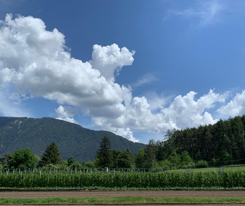 Fotosegnalazione di Naz sciaves