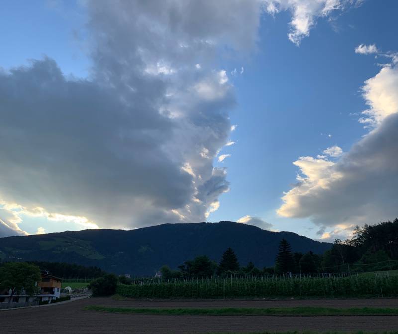 Fotosegnalazione di Naz sciaves