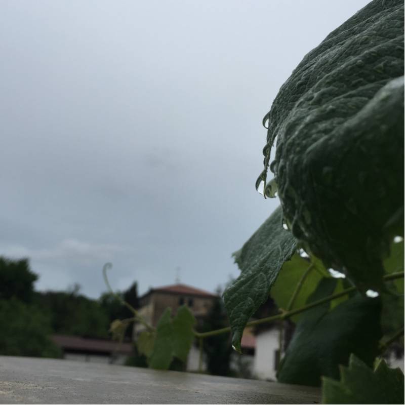 Fotosegnalazione di Gallicano nel lazio