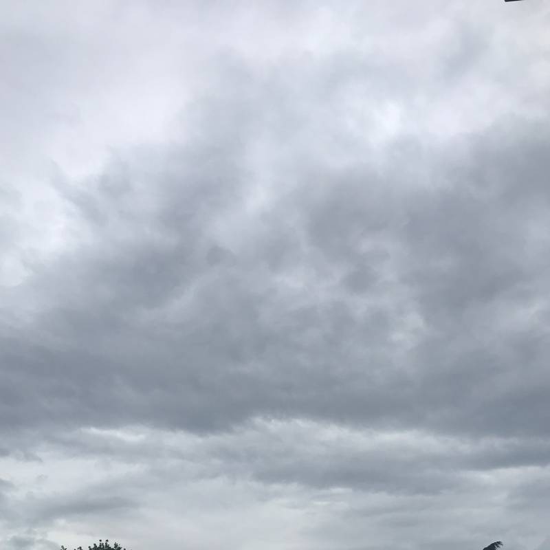 Fotosegnalazione di Savignano sul panaro