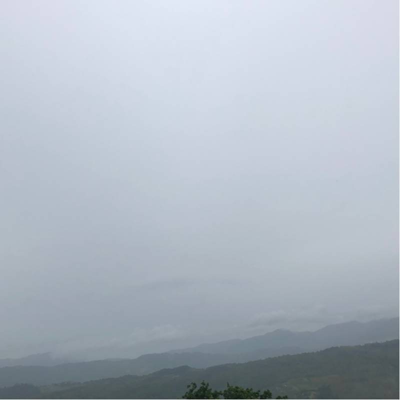 Fotosegnalazione di Celle di bulgheria