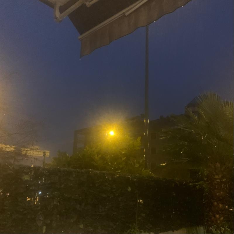 Fotosegnalazione di Chievo