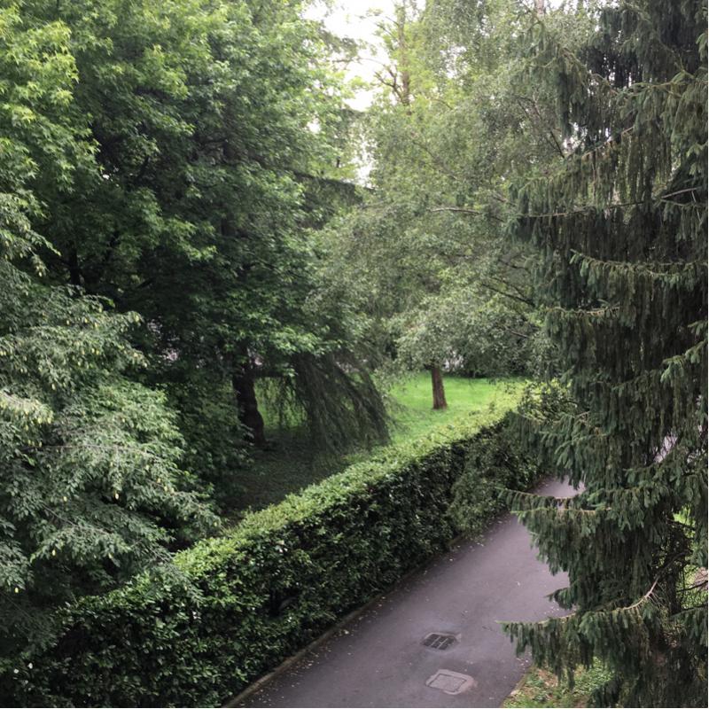 Fotosegnalazione di Carate brianza