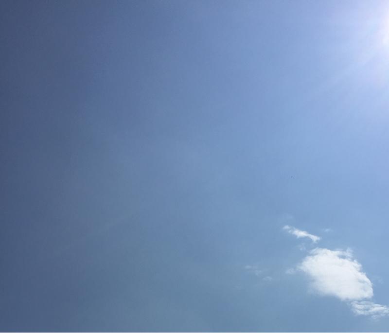 Fotosegnalazione di Bologna