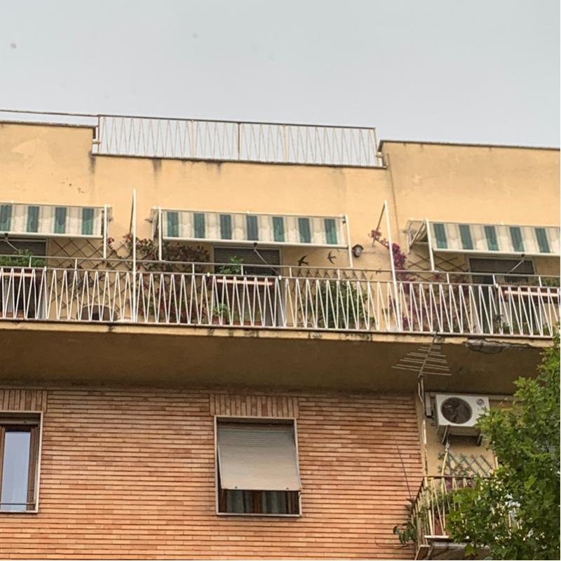 Fotosegnalazione di Roma nomentano
