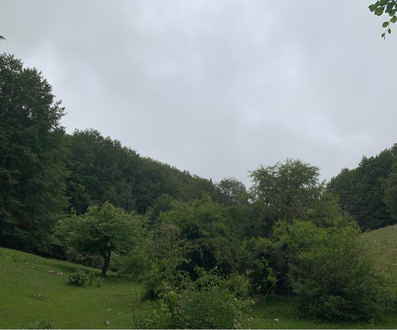 Fotosegnalazione di Monte livata
