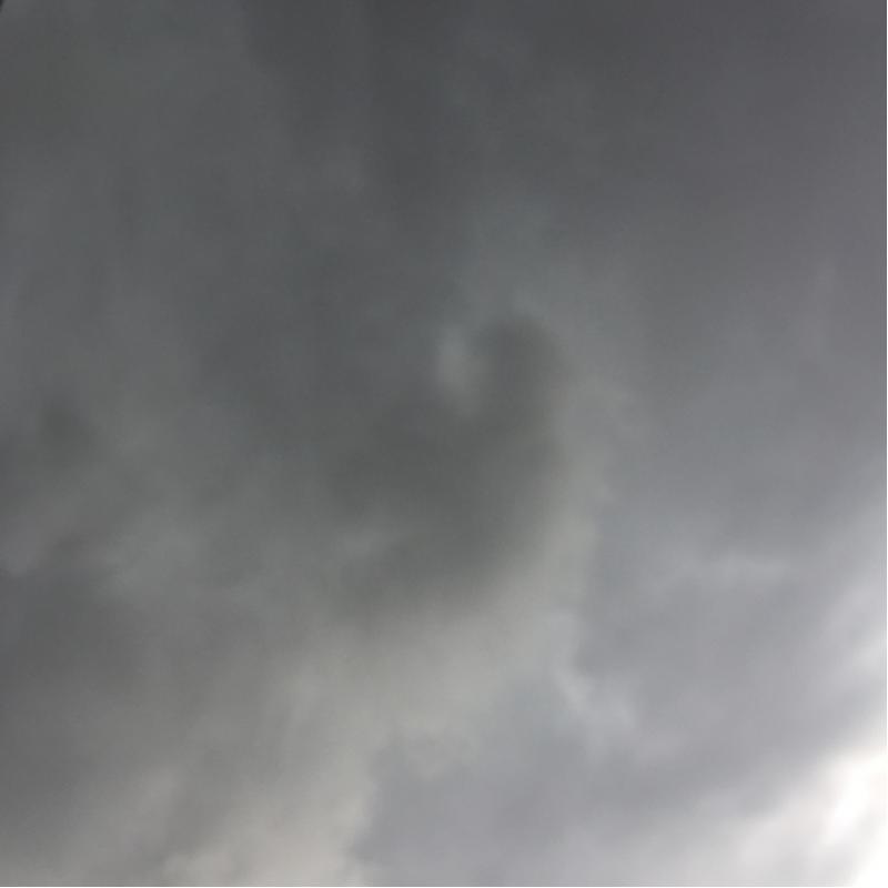 Fotosegnalazione di Bologna