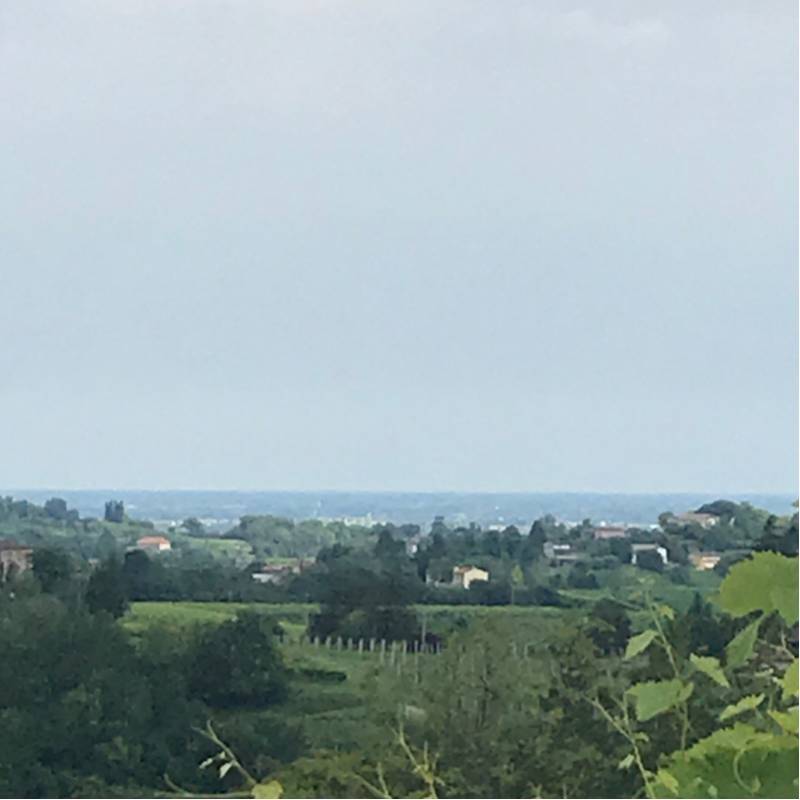 Visti dallalto siamo meglio
