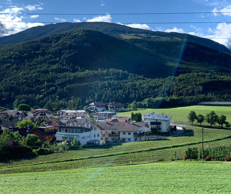 Fotosegnalazione di Naz sciaves