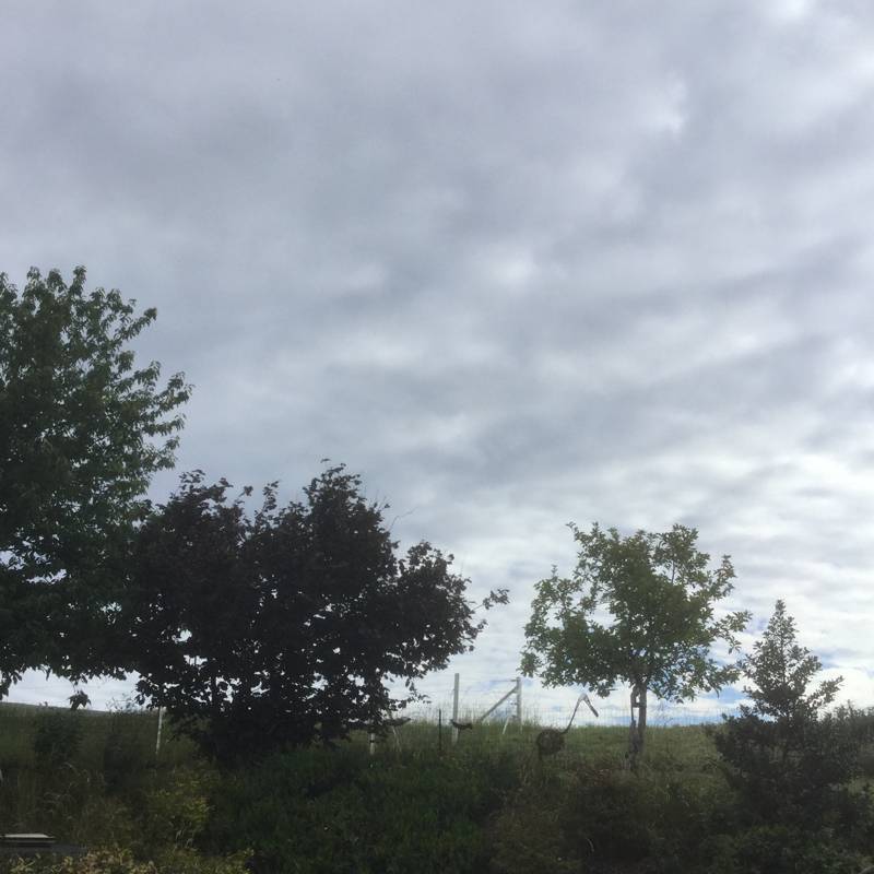 Fotosegnalazione di Genappe