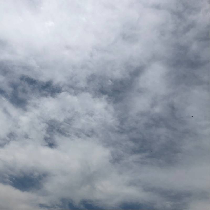 Fotosegnalazione di Brugnera