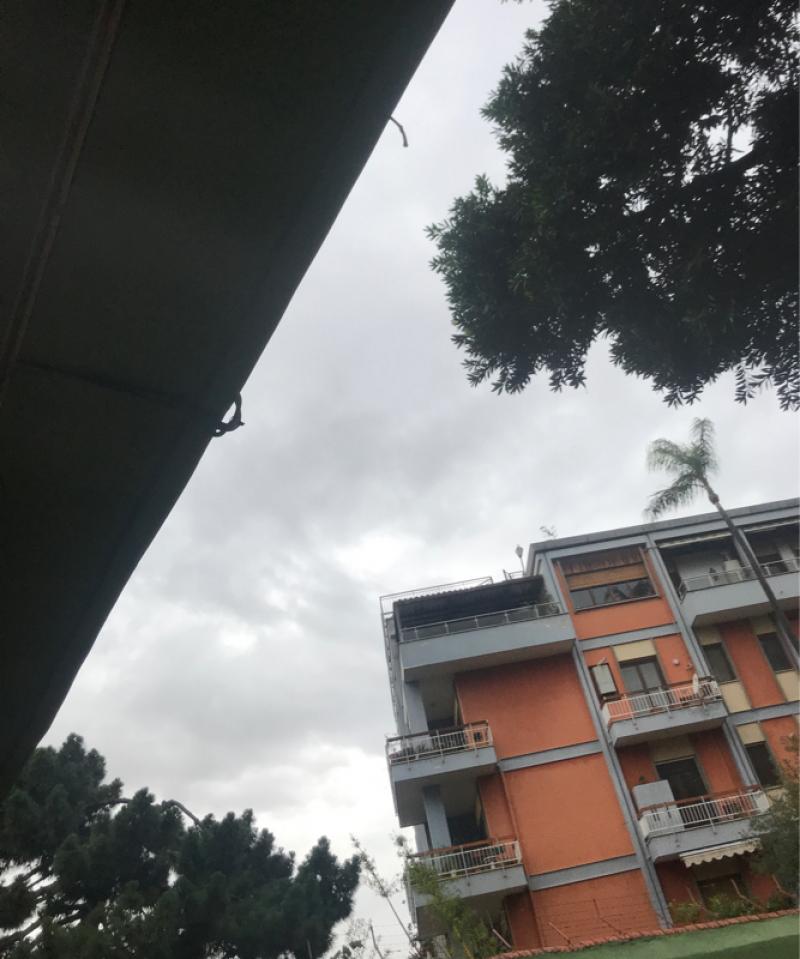Fotosegnalazione di Napoli chiaia