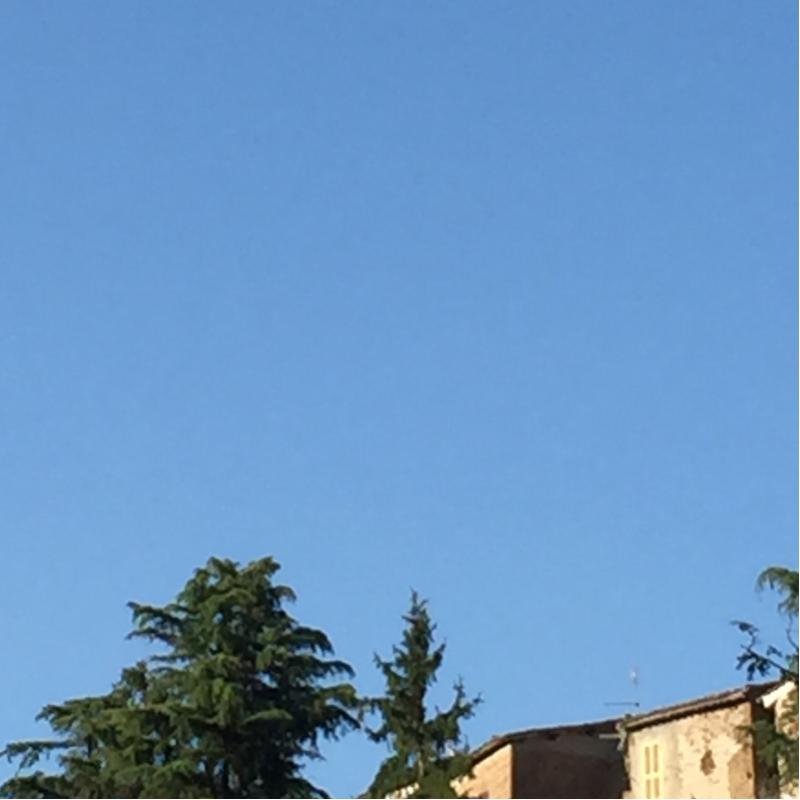 Fotosegnalazione di Gallicano nel lazio