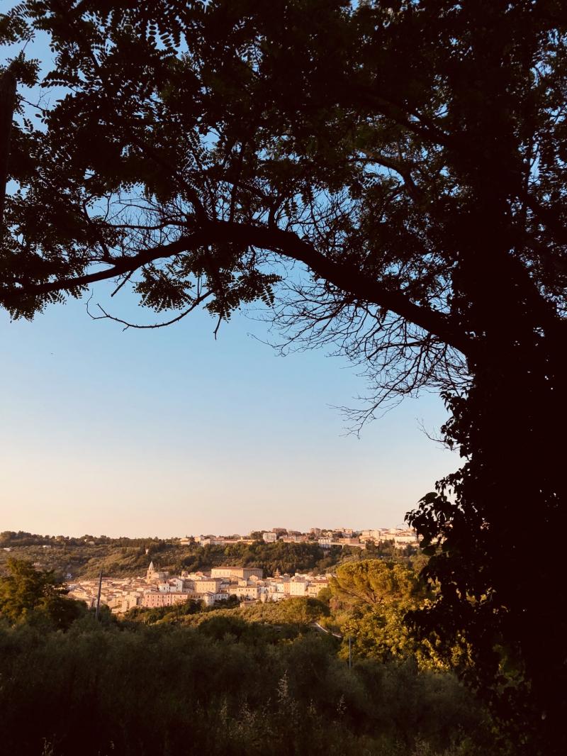 Domenica 28 giugno 2020