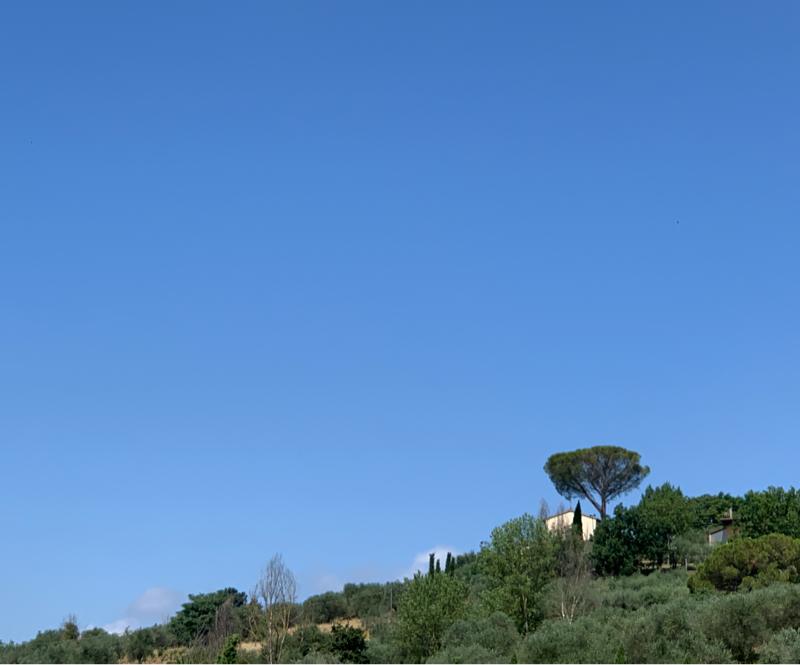 Fotosegnalazione di Poggio a caiano
