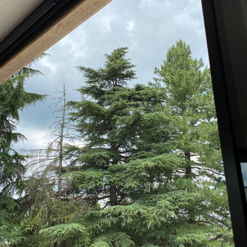 Fotosegnalazione di Niella casello