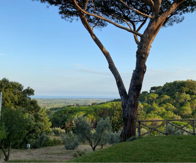 Fotosegnalazione di Castagneto carducci