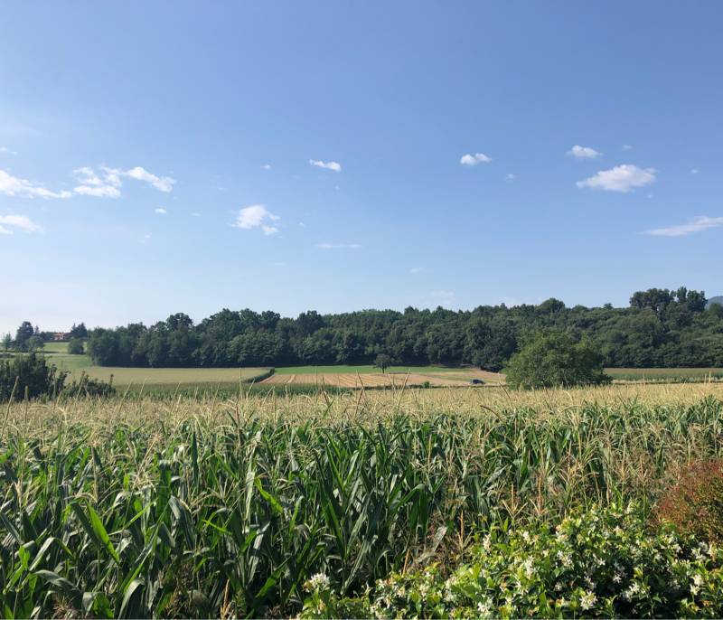 Fotosegnalazione di Villarbasse