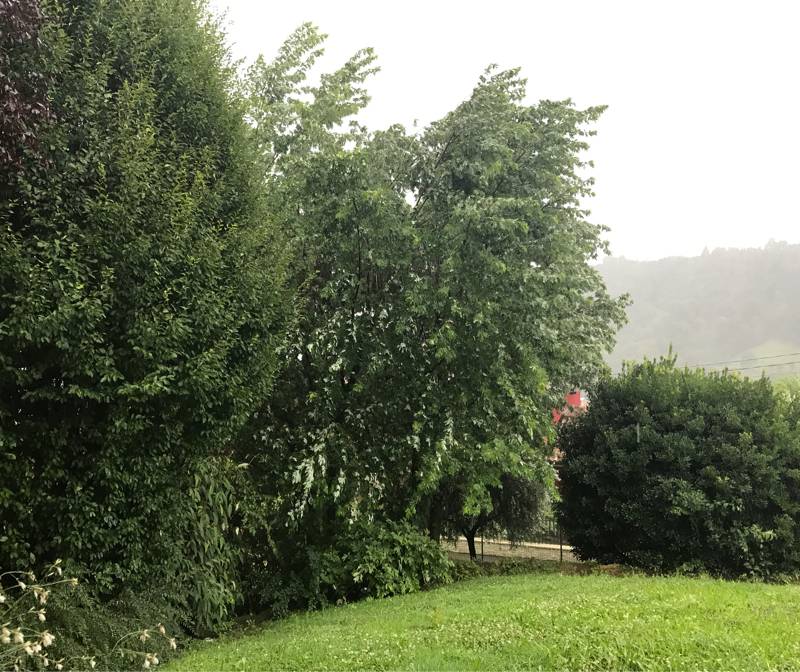 Fotosegnalazione di Adrara san martino