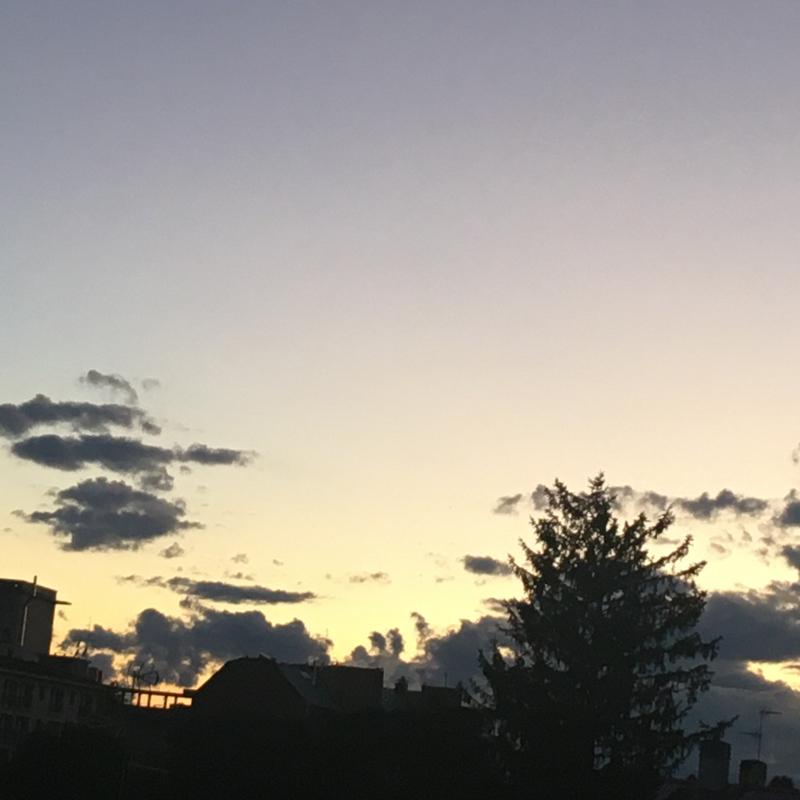 Fotosegnalazione di Gallarate