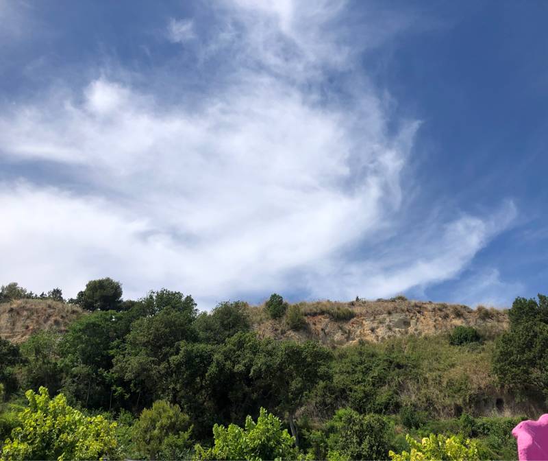 Fotosegnalazione di Altidona