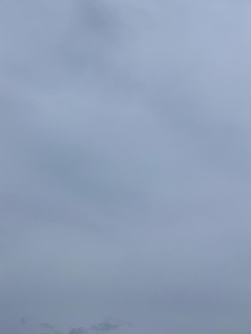 Fotosegnalazione di Tortoreto lido