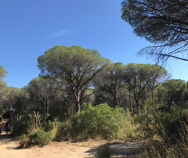 Fotosegnalazione di Castiglione della pescaia