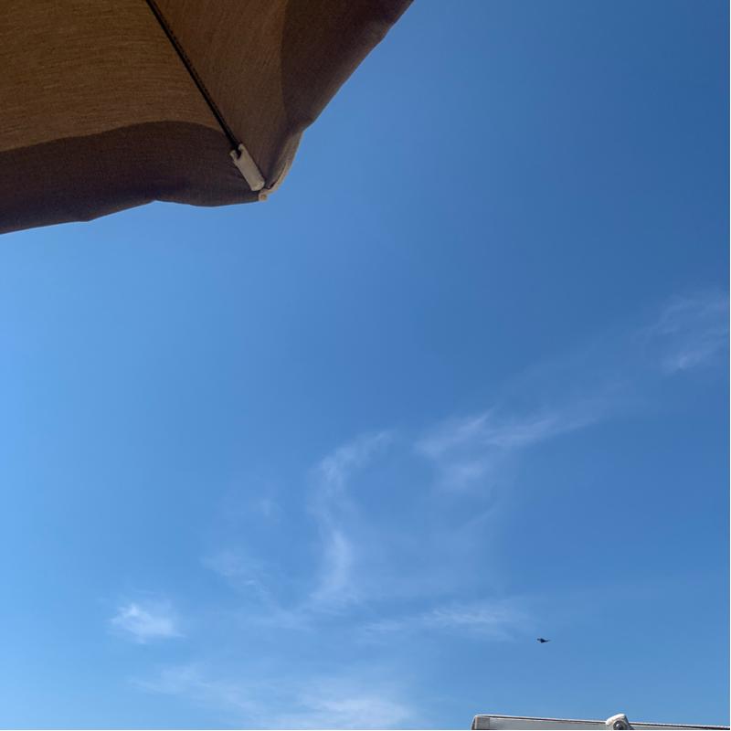 Fotosegnalazione di San vincenzo