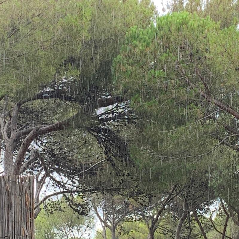 Piove da 30 minuti e forte
