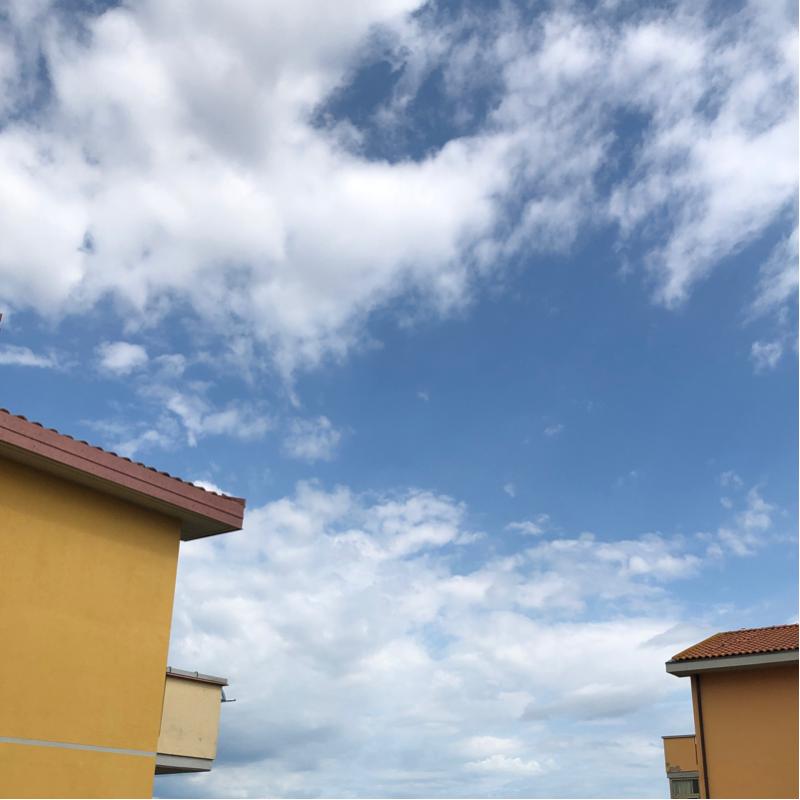 Fotosegnalazione di Collesalvetti