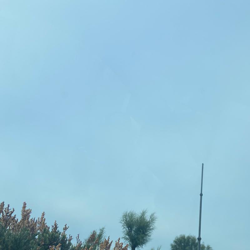 Fotosegnalazione di Lido di ostia