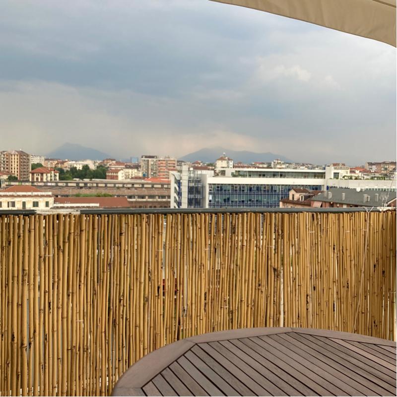 Fotosegnalazione di Torino
