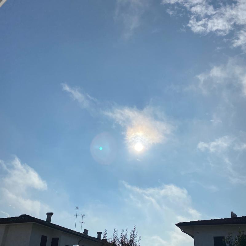 Fotosegnalazione di Duna verde