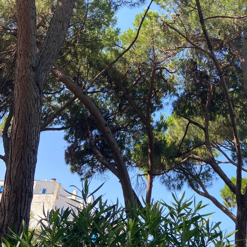 Fotosegnalazione di Baia domizia