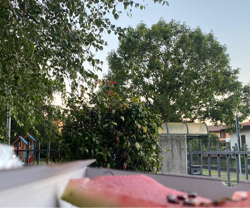 Fotosegnalazione di Provaglio d'iseo