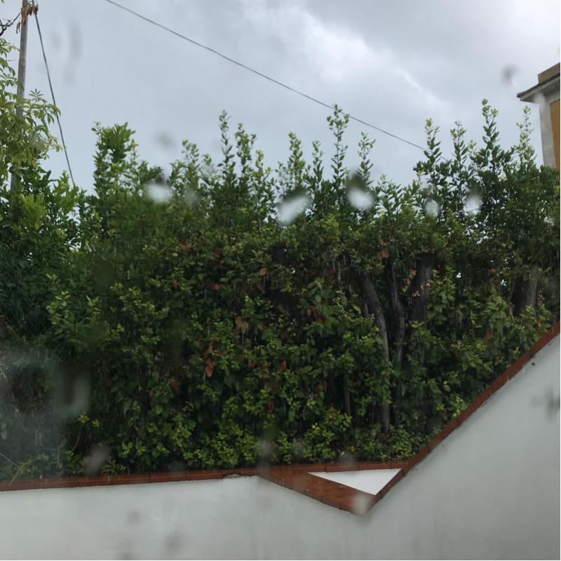 Fotosegnalazione di Rodi garganico