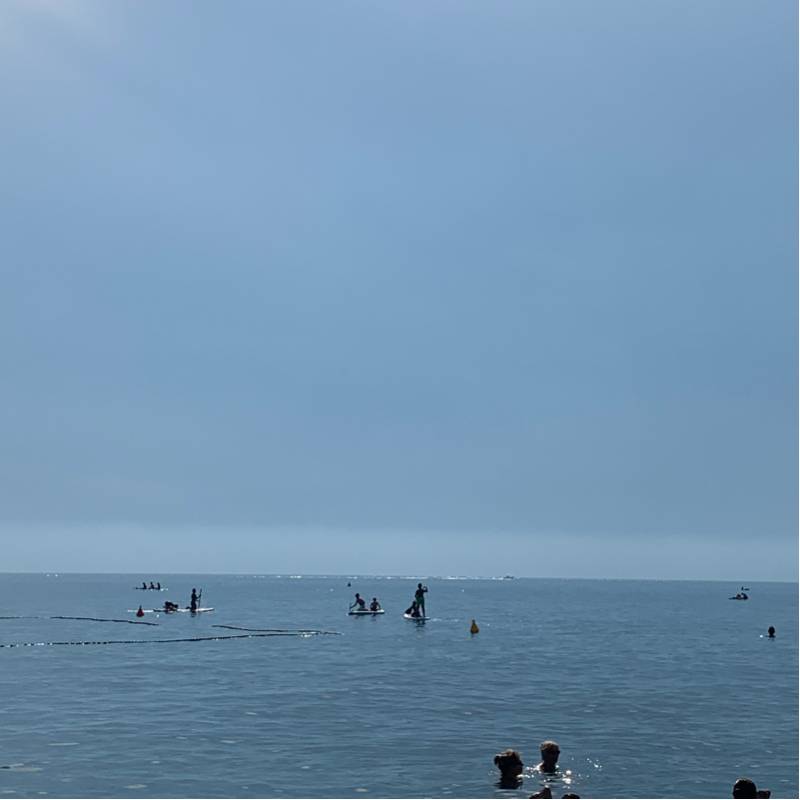 Fotosegnalazione di Genova sturla