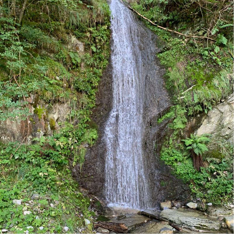 Fotosegnalazione di Naz sciaves