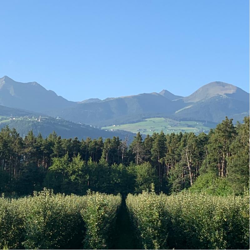 Fotosegnalazione di Naz sciaves