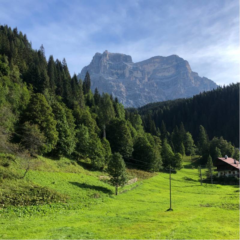 Vista pelmo