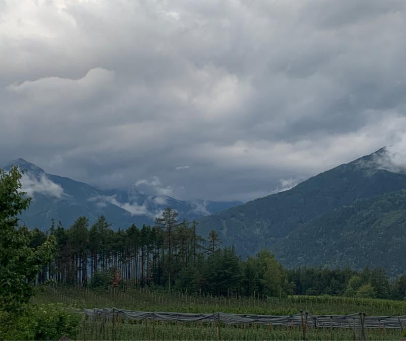 Fotosegnalazione di Naz sciaves
