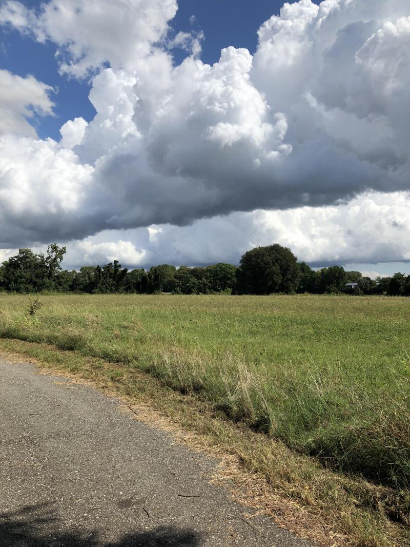 Da cascina salesina. parco forlanini