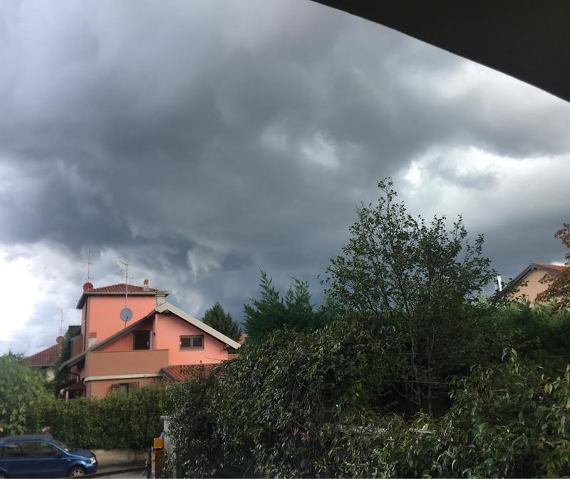 Fotosegnalazione di Usmate velate