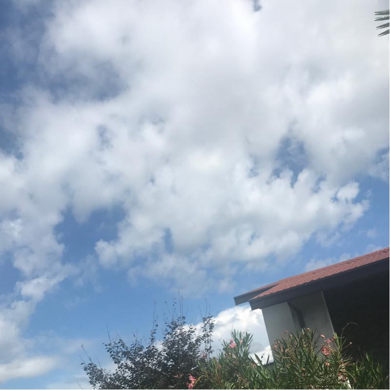 Fotosegnalazione di Parabiago