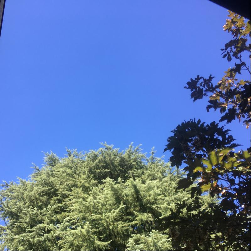 Fotosegnalazione di Desio