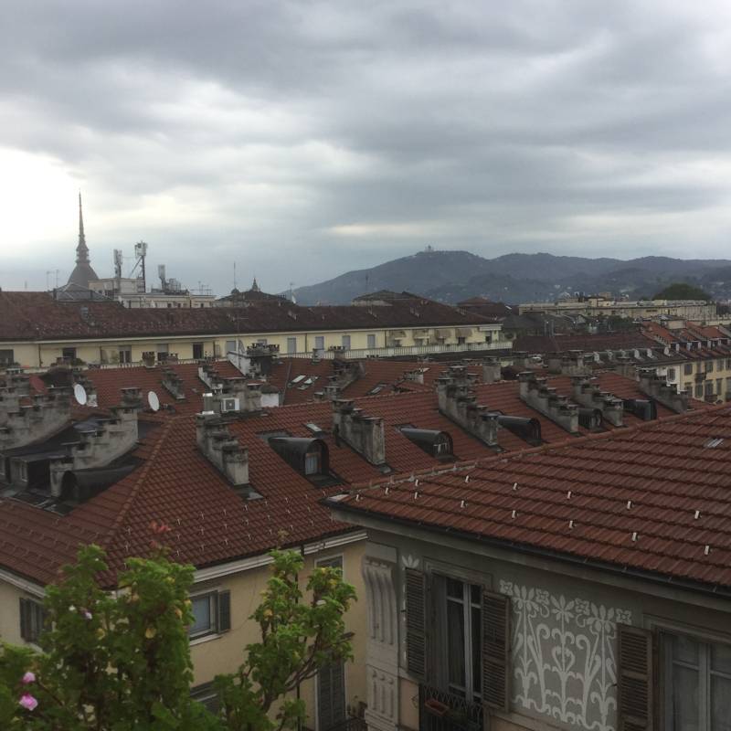 I tetti di Torino